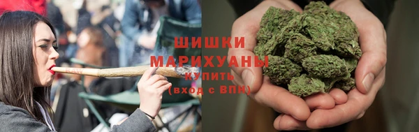 дживик Вязьма