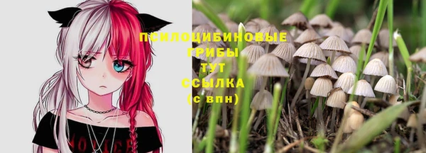 дживик Вязьма